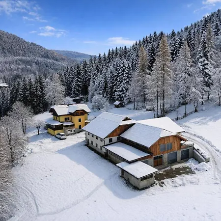 Steinacherhof * Arriach
