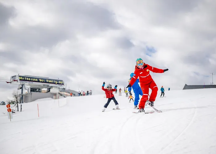 Steinacherhof Διαμέρισμα Arriach