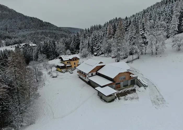 Steinacherhof شقة Arriach