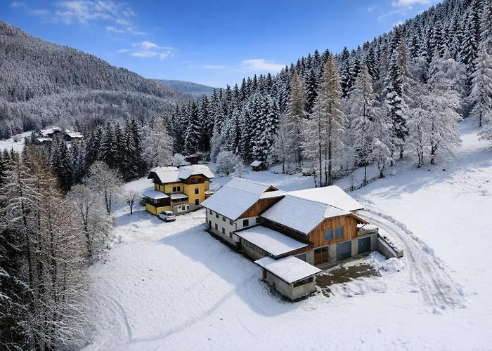 Steinacherhof * Arriach